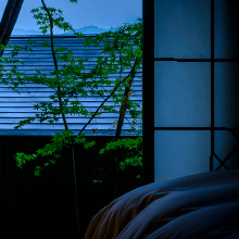 夏のイメージ写真