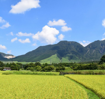 塚原高原
