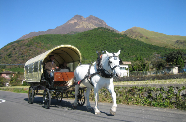 観光辻馬車