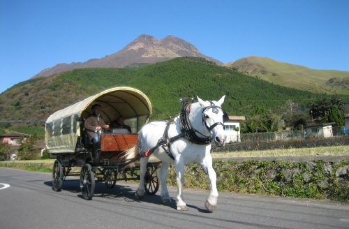 観光辻馬車
